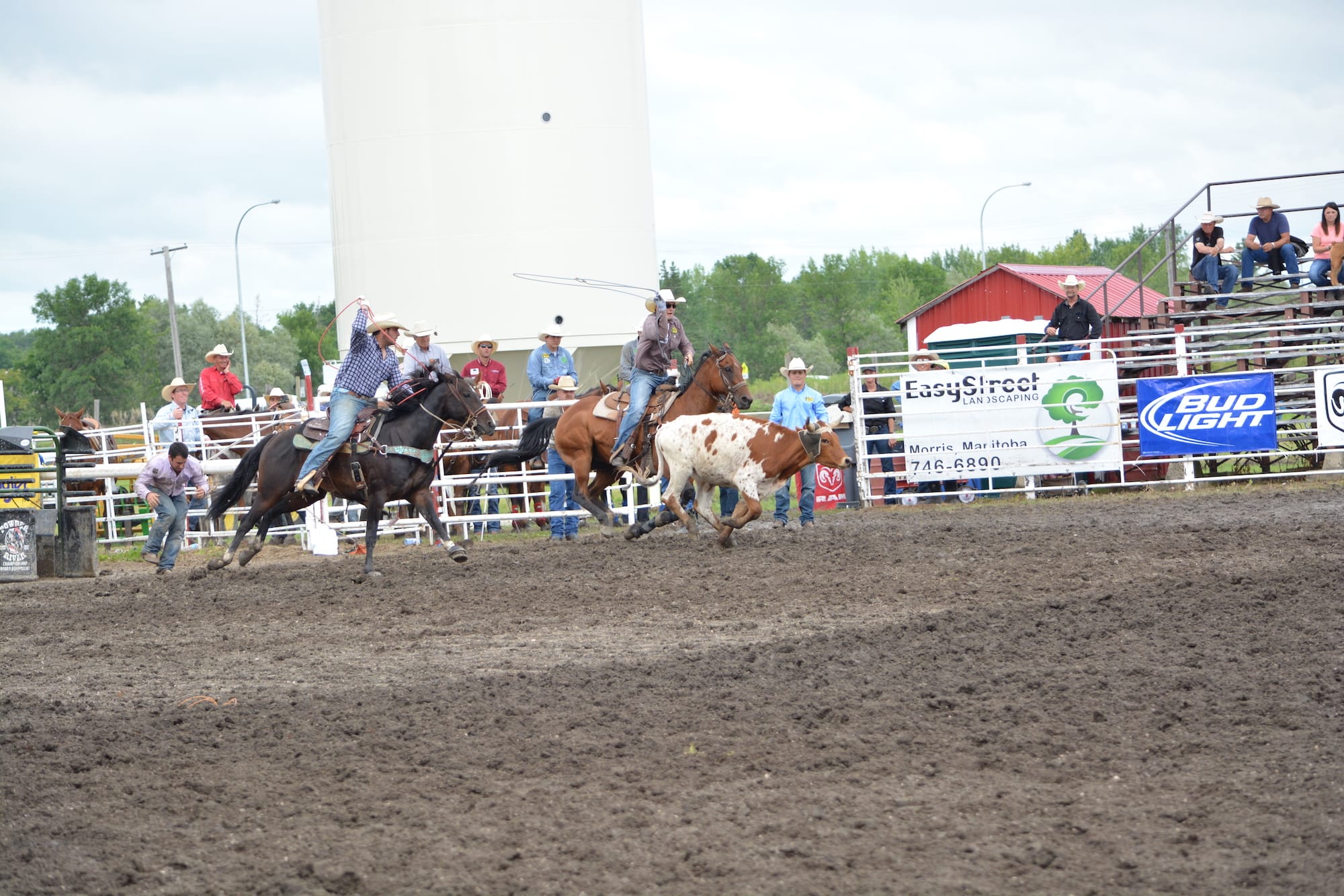 Tom Hefley Roping Manitoba Team Roping Association Company Profile – FFGMT