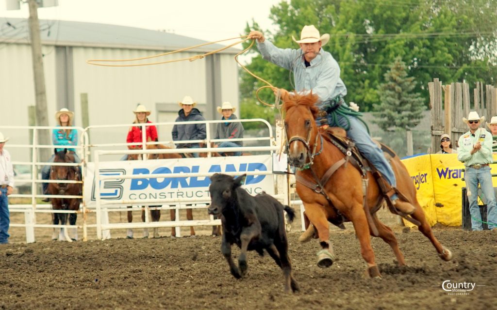 TieDown Roping Manitoba Stampede