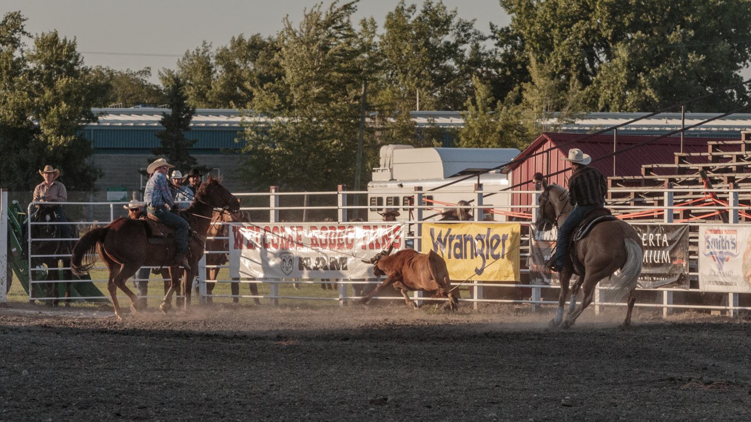 Team Roping - Manitoba Stampede